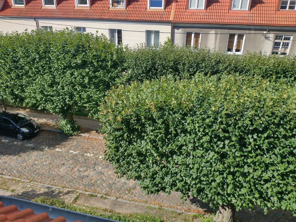 Apartment Stara Oliwa *