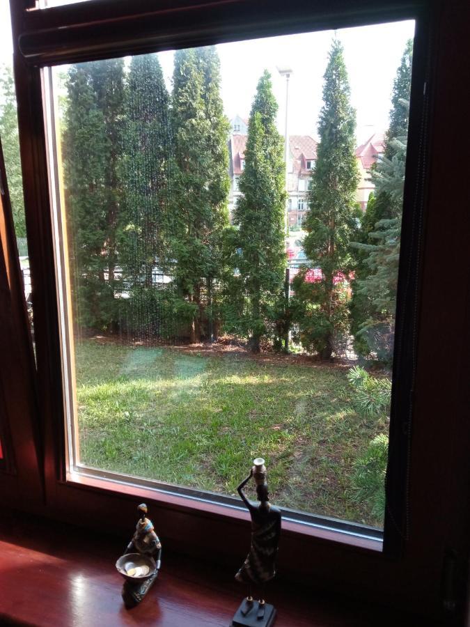 Cooliving: Cozy Near Medical Academy Homestay