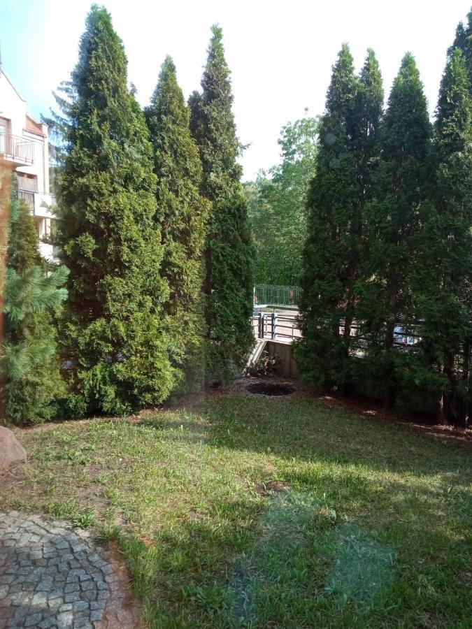 Cooliving: Cozy Near Medical Academy Homestay *