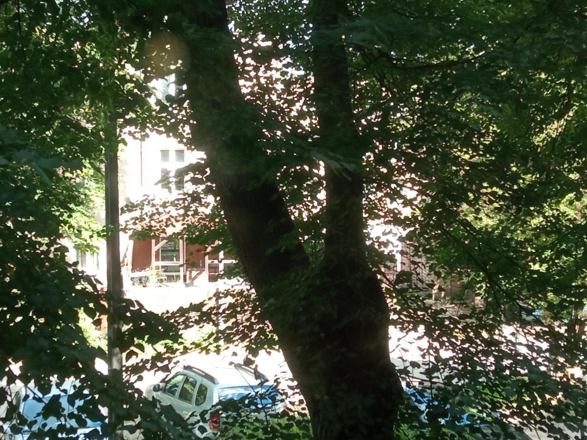 Homestay Cooliving: Cozy Near Medical Academy Gdansk