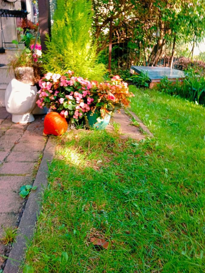 Homestay Rodzinne Hanna Gdansk