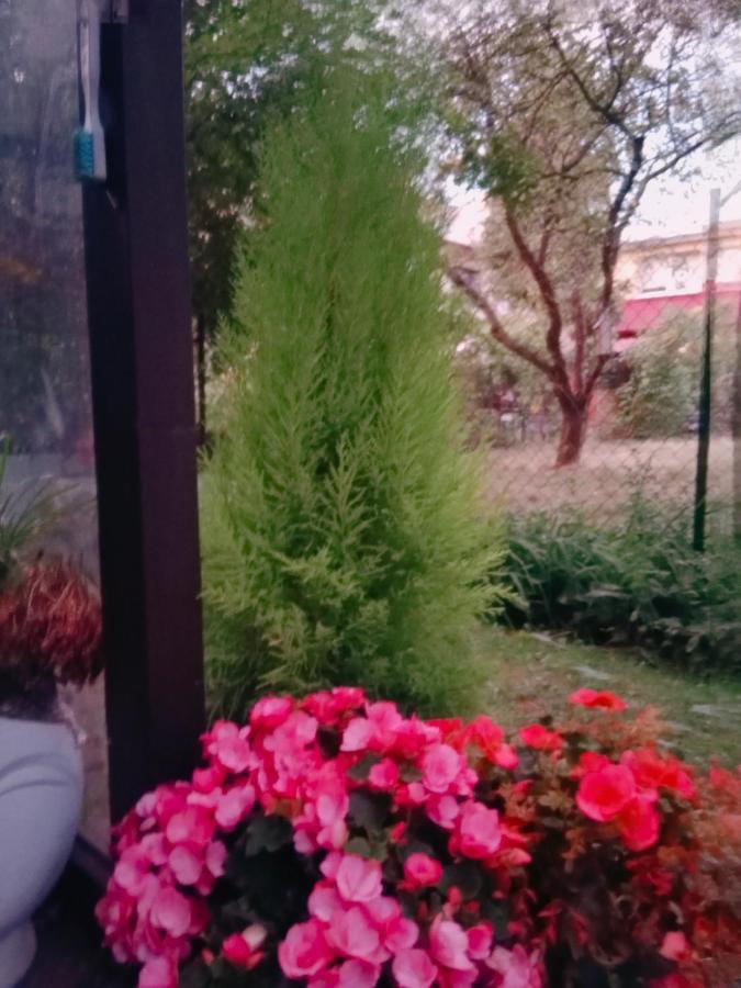 Rodzinne Hanna Homestay *