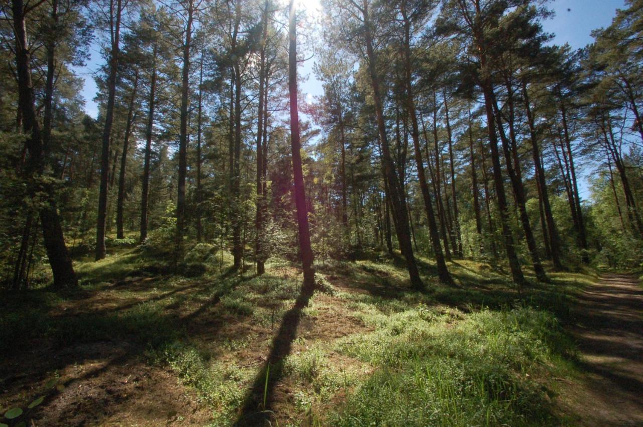 Karuba Resort, Gdańsk - Wyspa Sobieszewska Domek letniskowy Gdańsk