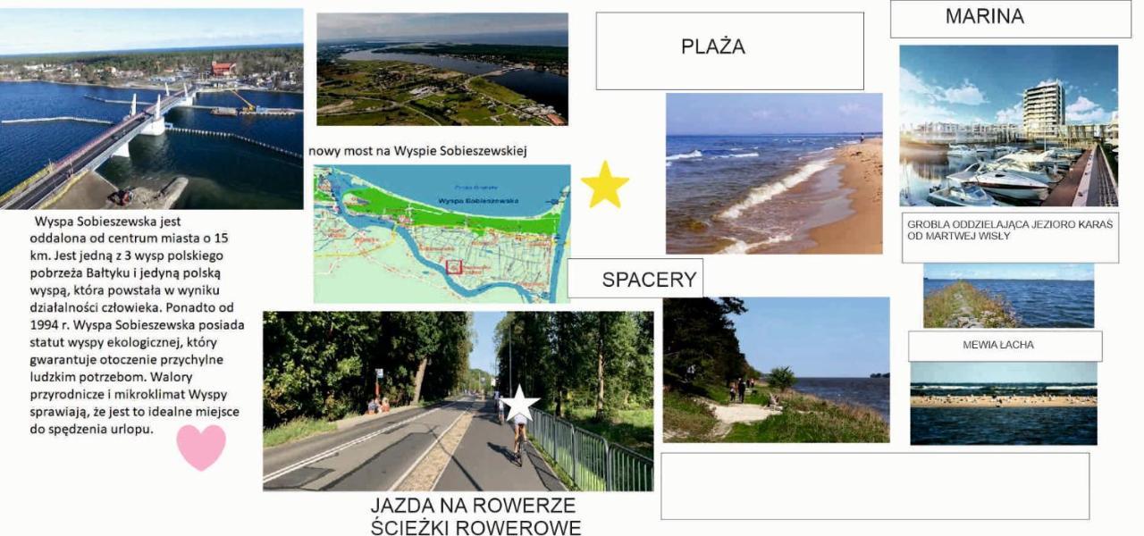 Burgund Wyspa Sobieszewska *