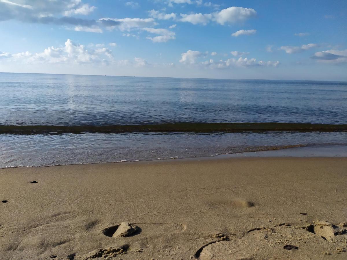 Burgund Wyspa Sobieszewska Gdańsk
