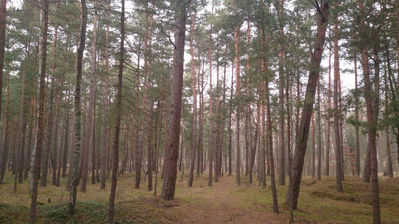 Burgund Wyspa Sobieszewska Apartament