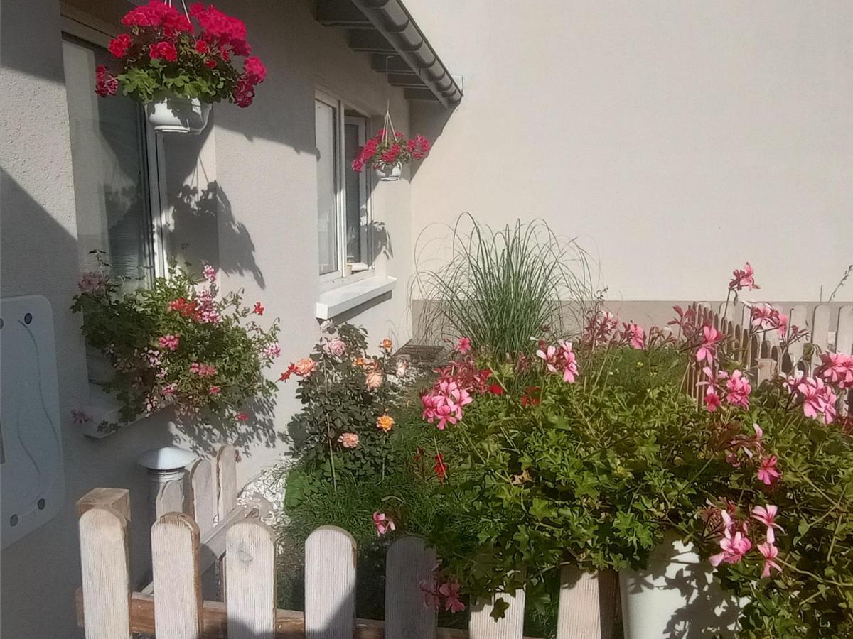 Apartment Klimatyczne Mieszkanie W Nowym Porcie *