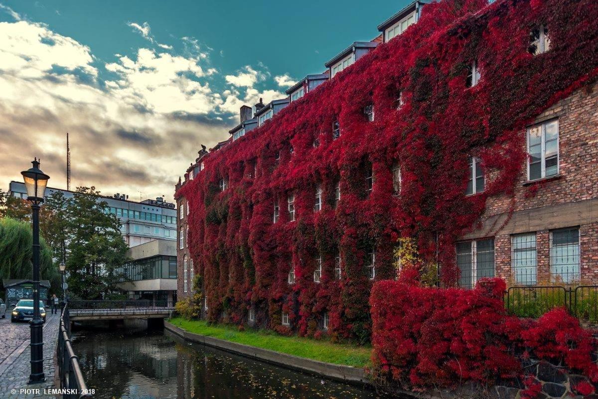 Four Seasons With Parking Place Apartment Gdansk