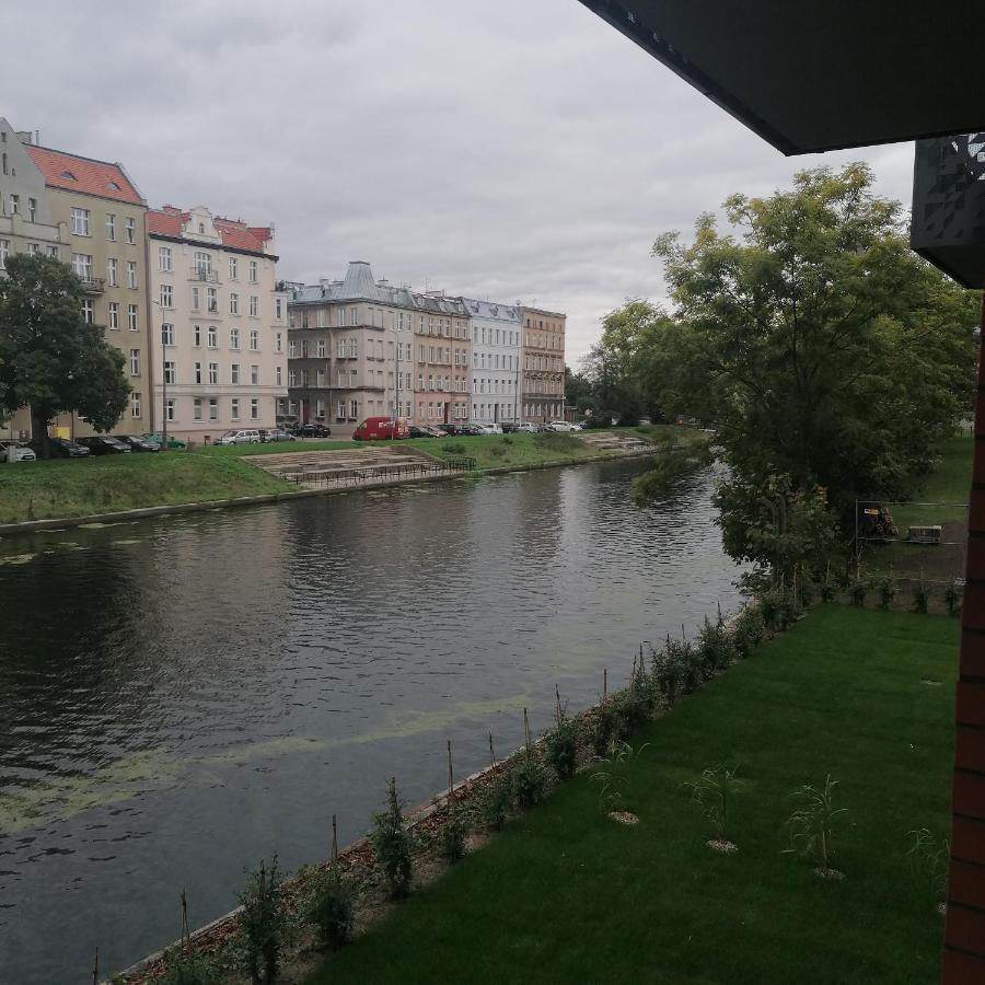 Apartament Motlewa *
