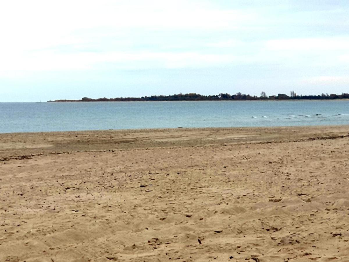 Apartment Lazur Park - *