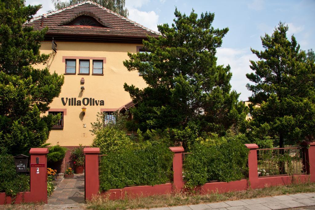 Oliva Homestay *