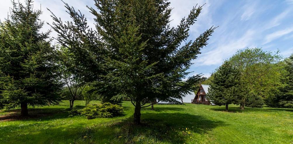 Osrodek Wypoczynkowy Melisa Resort