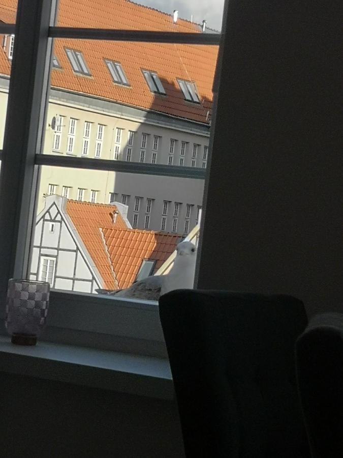 Apartament River View