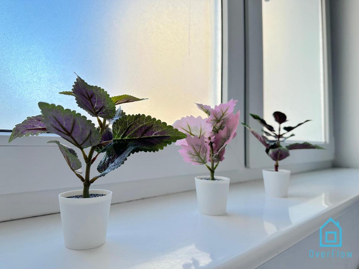 Homestay Stary Gleboka 14 P5 Gdansk