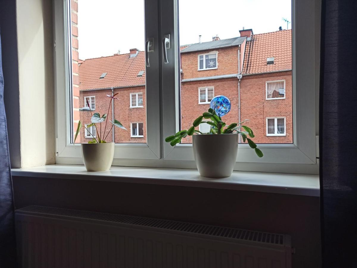 Urban Zagrodowa - Bardzo Blisko Centrum
