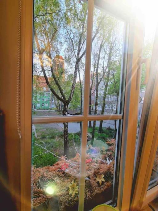 Apartament Szeroka Gdansk, Stare Miasto