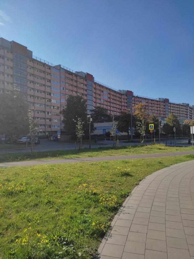 Wiola