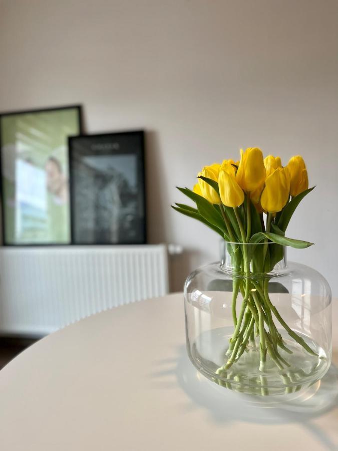 City Park Apartment *