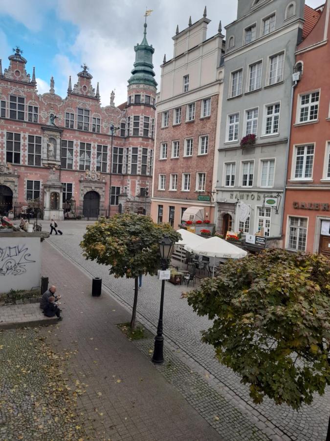 Piwna Number 1 * Gdańsk