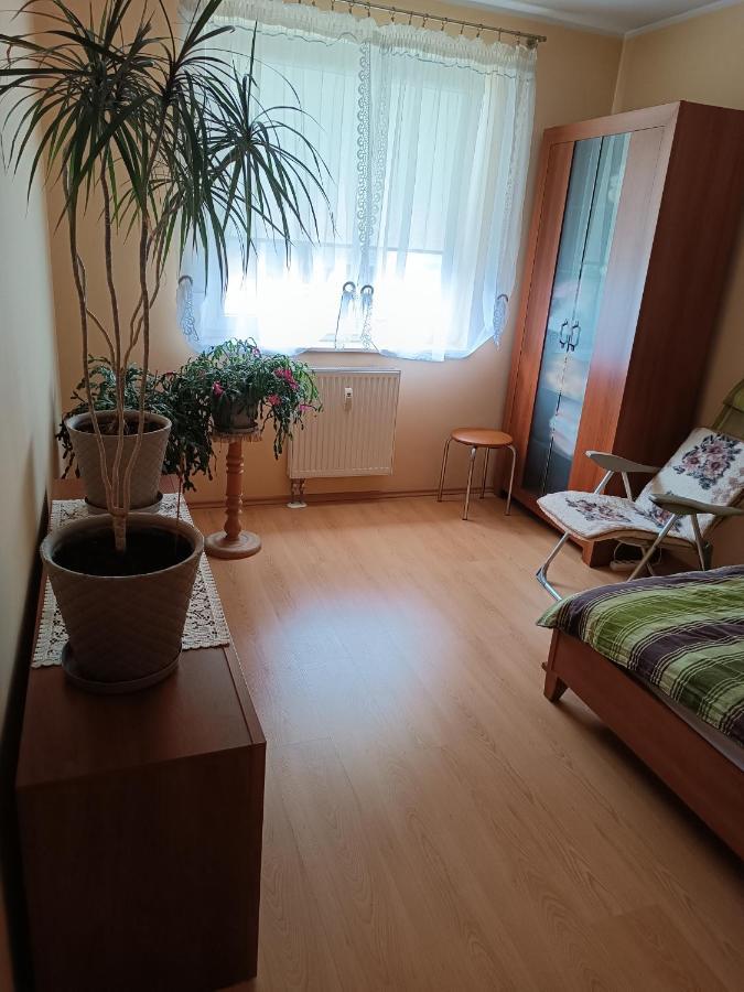 Apartament Zakoniczyn Dla 4 Osob Apartment