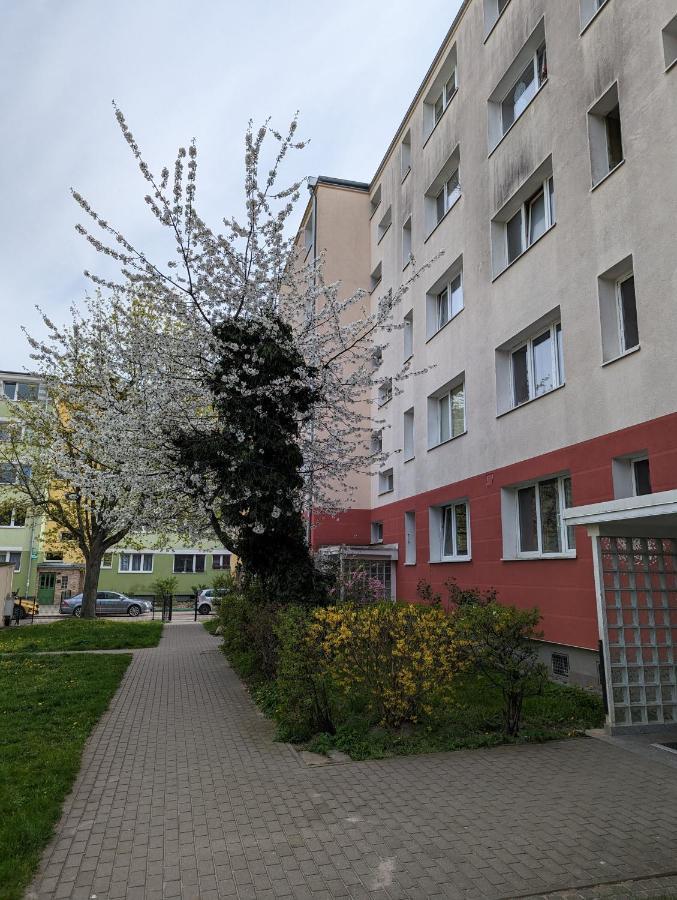 Bialy Apartament Jelitkowo 2-4 Osoby *