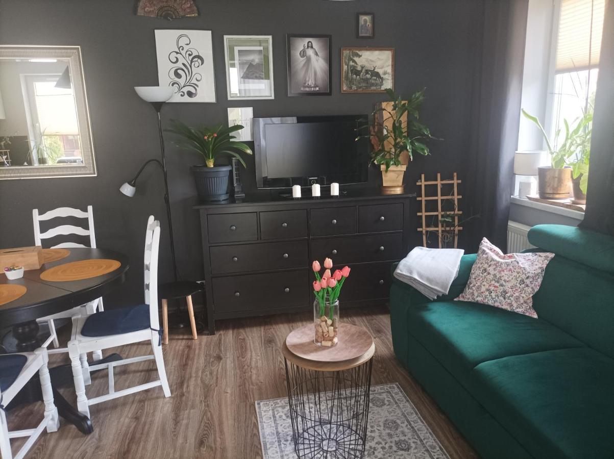 Apartment Atrakcyjny Z Duzym Ogrodem *