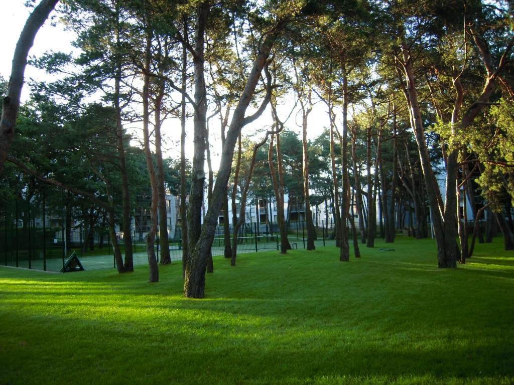 Apartment Apartament Przy Bulwarze Na Molo *