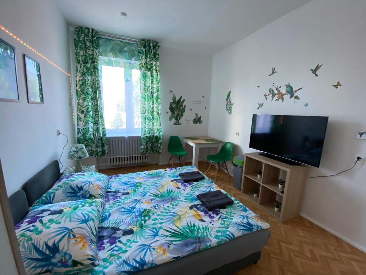 Jungle Apartment *