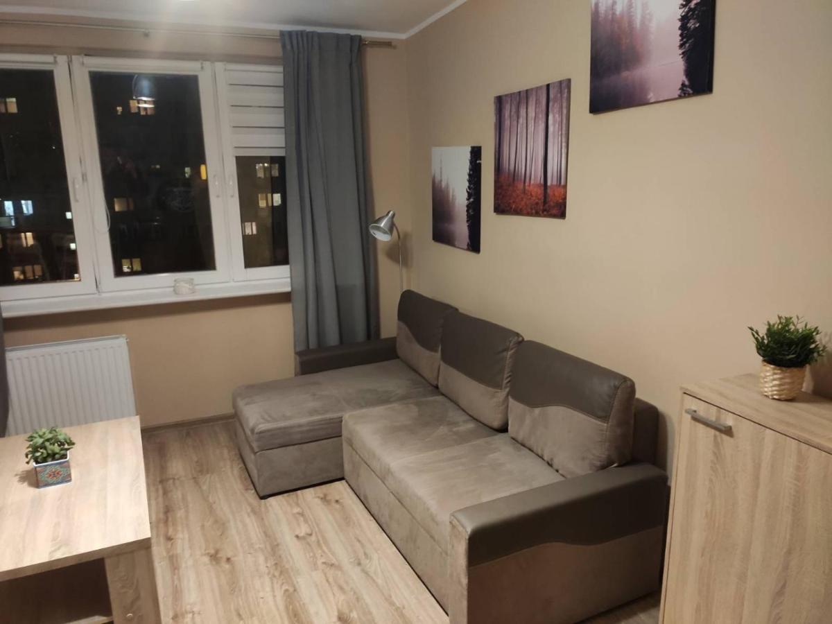 Apartament - Zabianka *