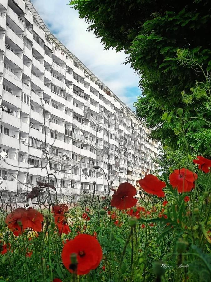 Apartament Apartament Wiewiorka Gdańsk