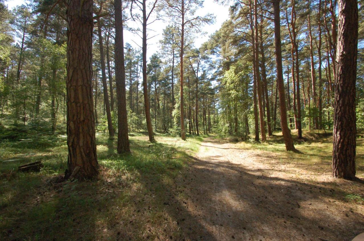M&k Apartamenty-amber Gdańsk