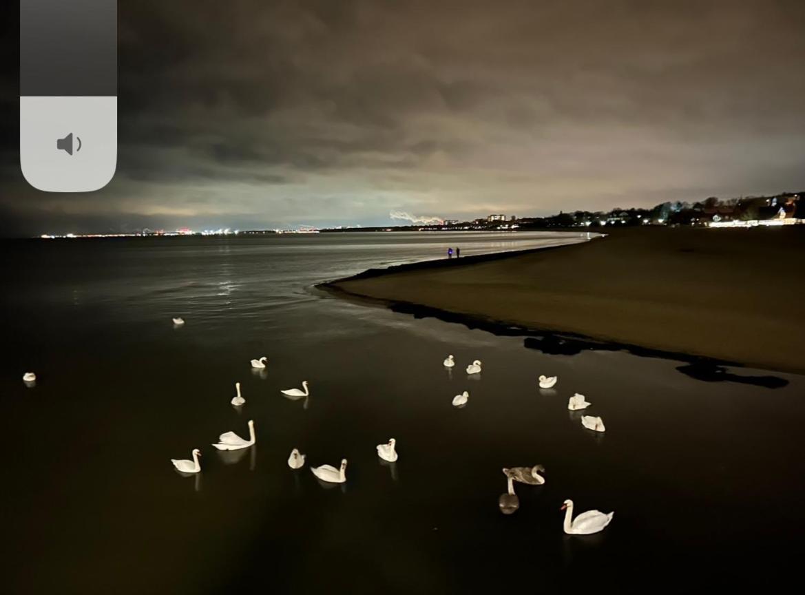 Seaside - Osiedle Latarnikow Letnica 1 * Gdańsk