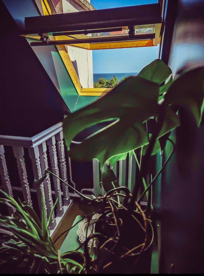 Huoneisto Roof