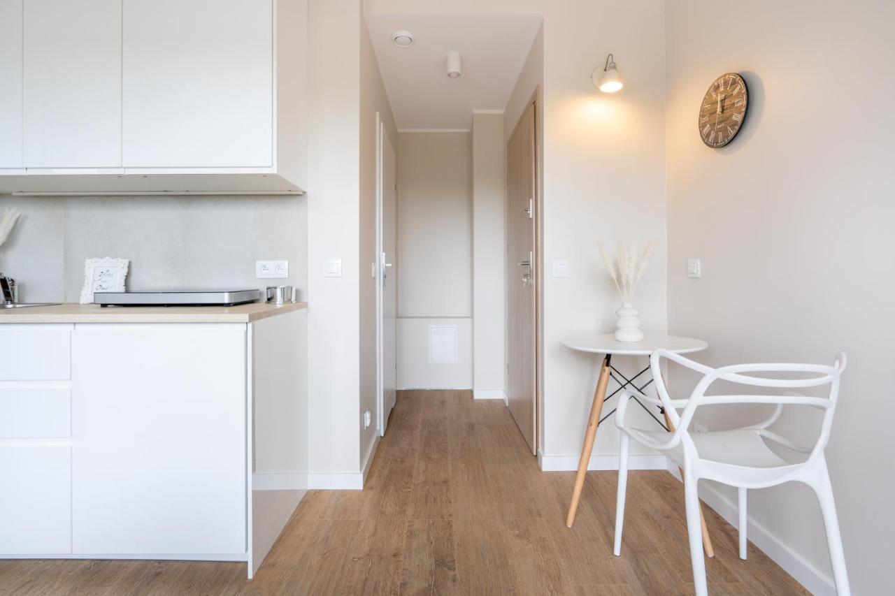 Apartment Brzezno Deluxe