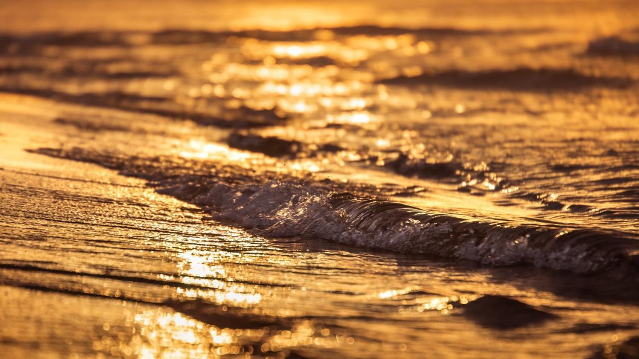 Mieszkanie Sea Waves Lejlighed Gdańsk