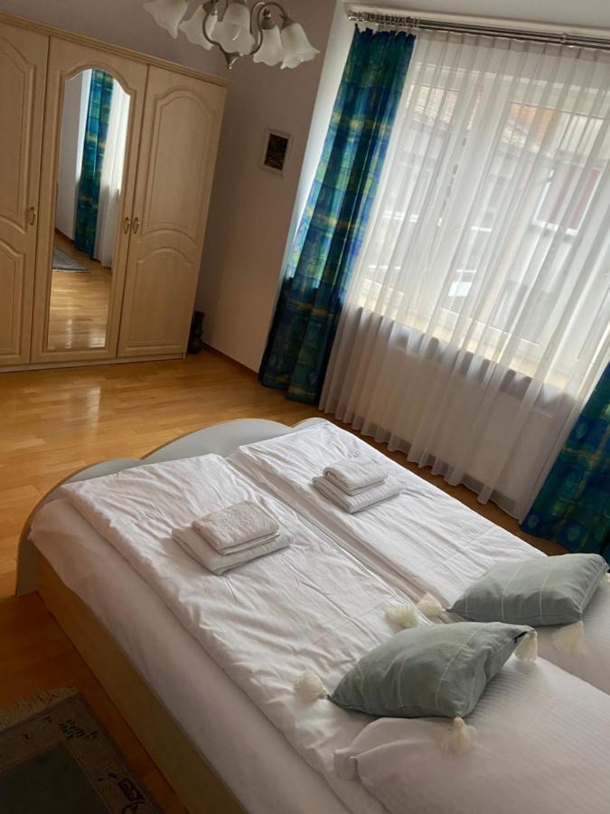 Kauris * Gdańsk