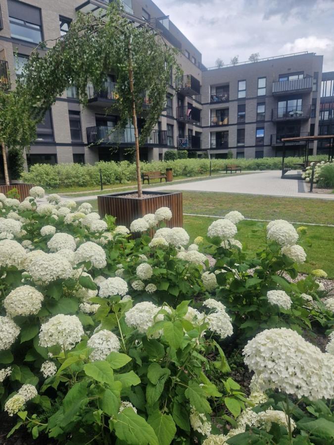 Apartament Serce Miasta *