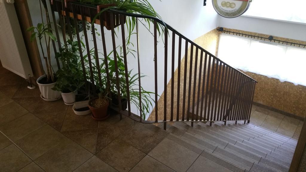 Dom Sportowca Roko Apartamento