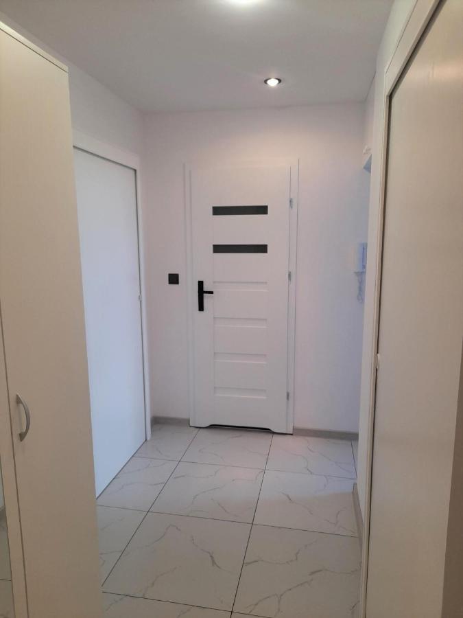 Apartment Magnes