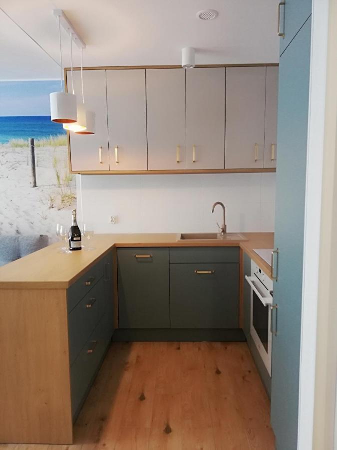 Plaza Stogi Apartment