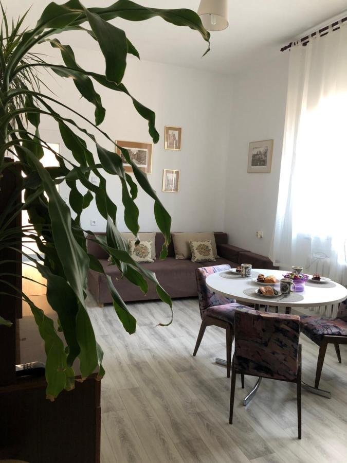 Apartament Przy Krzywym Drzewie - Old Town Apartment *