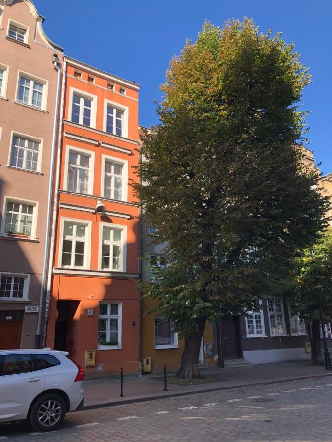 Apartament Przy Krzywym Drzewie - Old Town Apartment *
