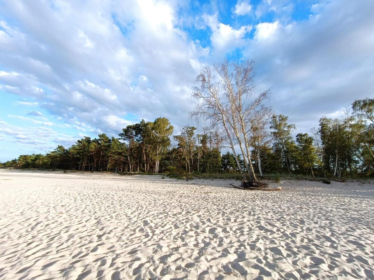 Sunny Place: Baltic With Garden On Sobieszewska Island Apartment *