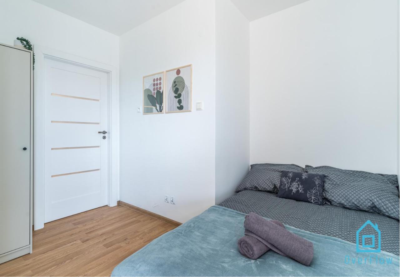 Homestay Stara Torunska P2
