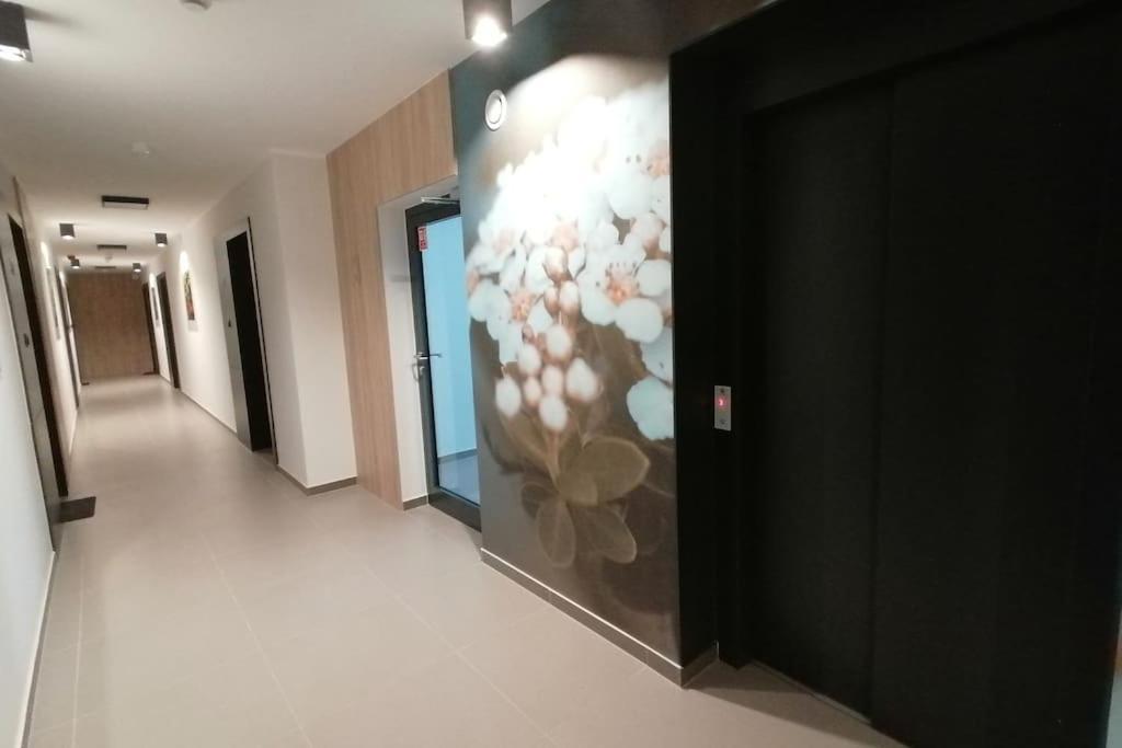 Apartment Przytulny Z Parkingiem *
