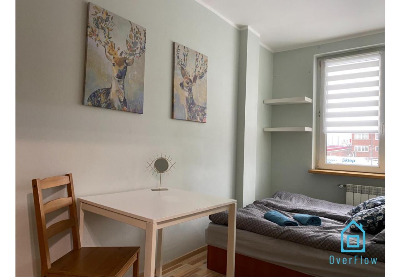 Stary Camel Apartment