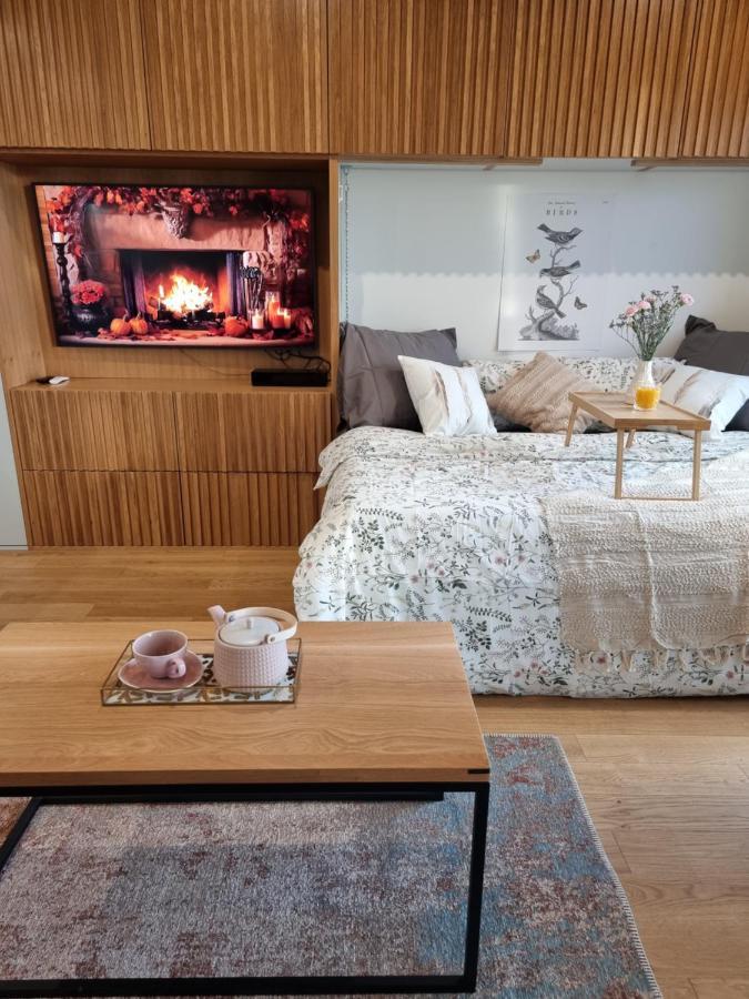 Birdnest Riverview Studio & Parking * Gdansk