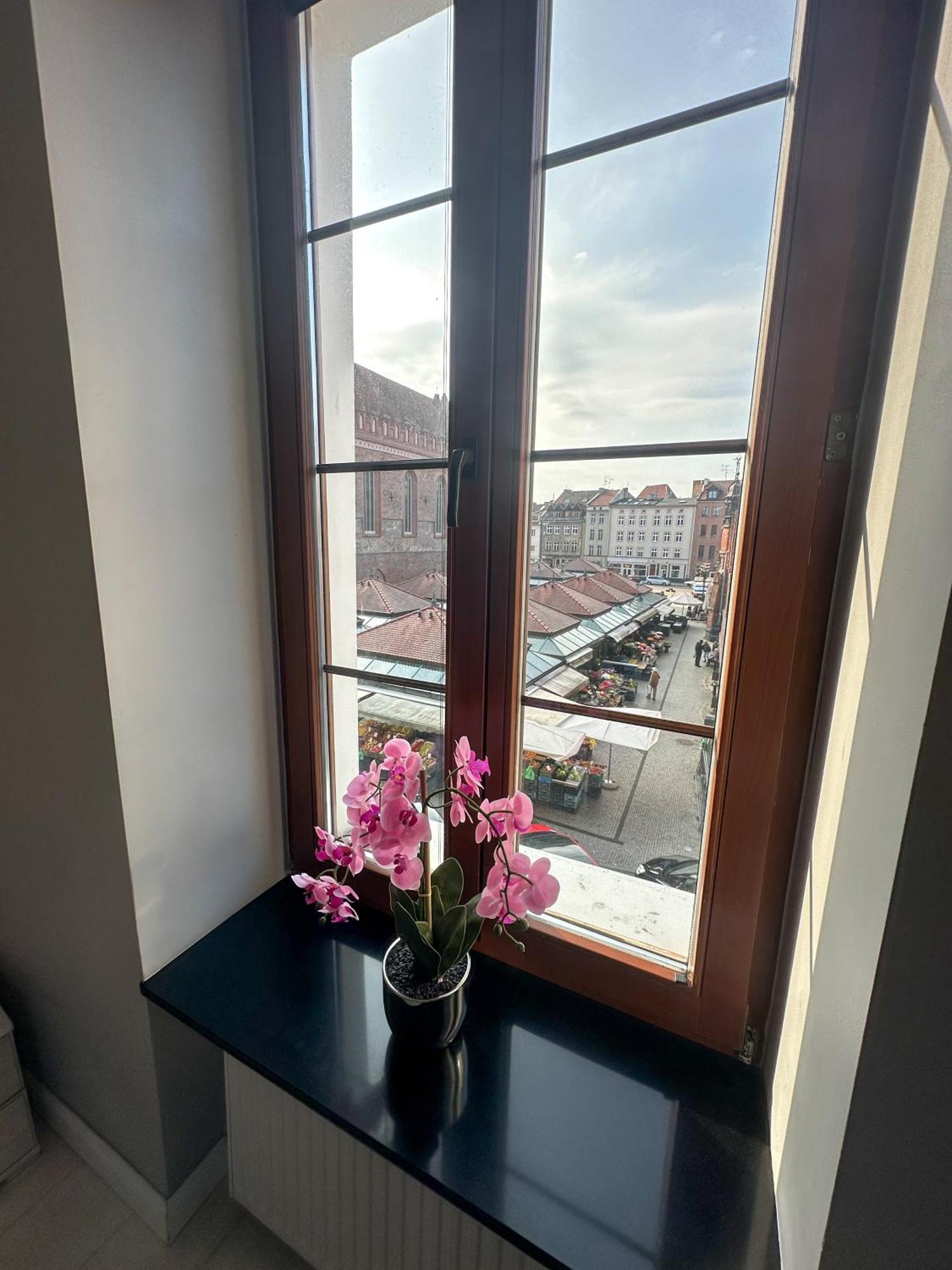 Euro Loft Old Town Apartamento