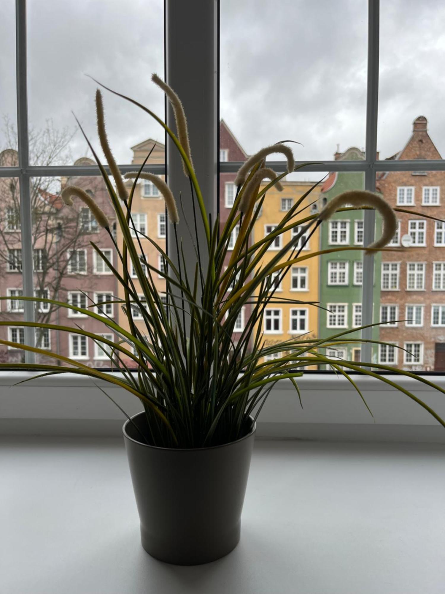 Apartment Piwna52 Gdansk