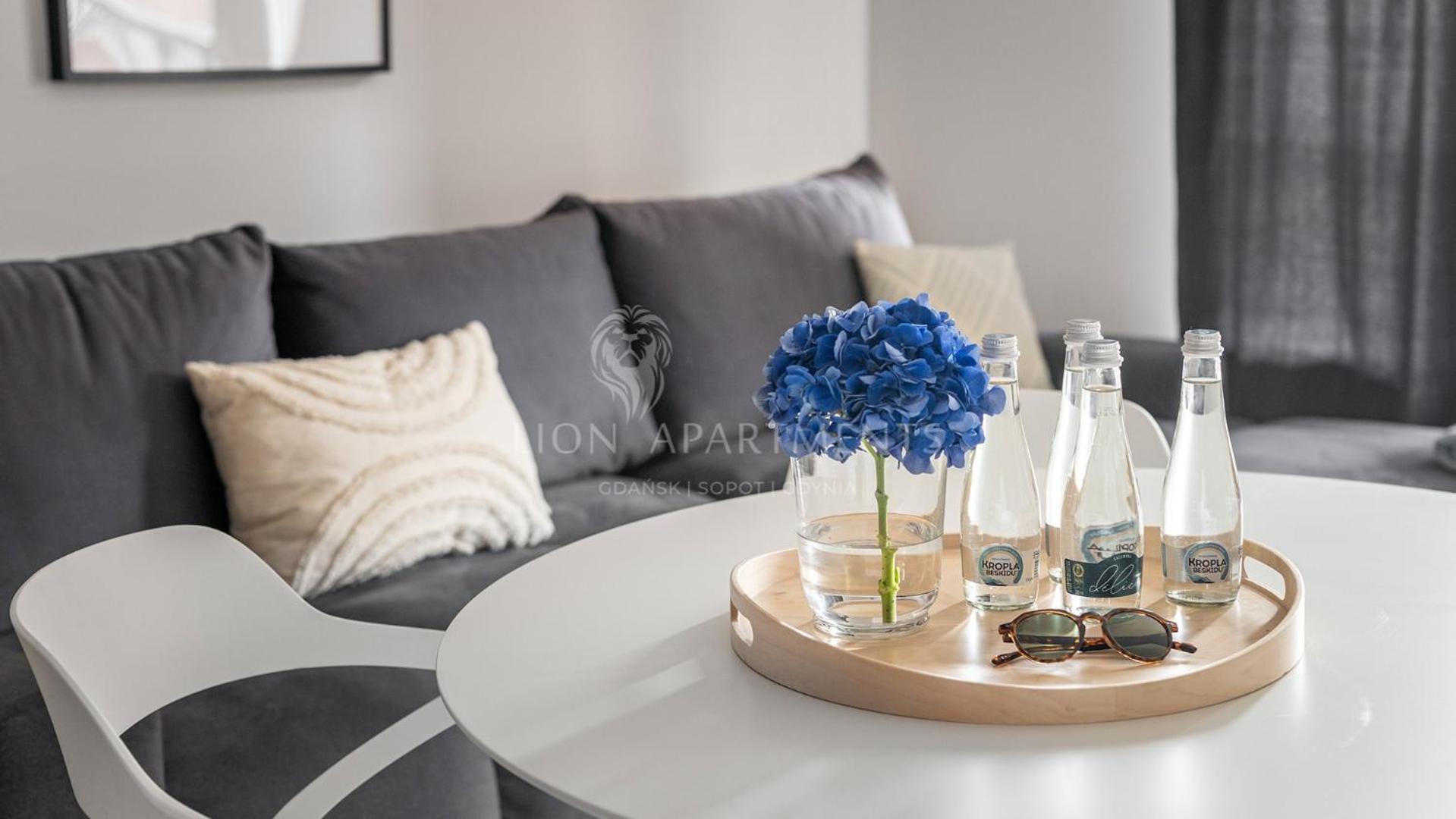 Apartment Lion - Scala Center Apartments&parking Iib